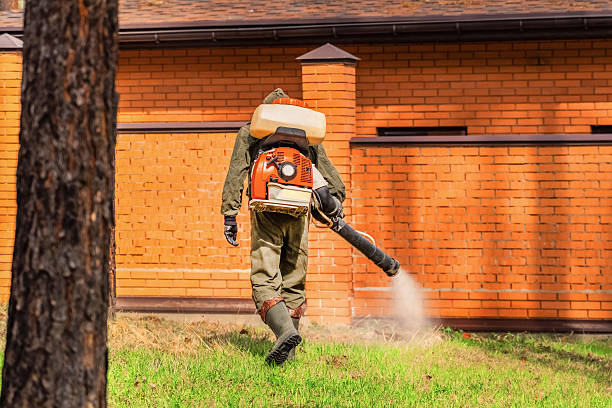 Trusted Rodent Control service in Verde Village, AZ - Nex Pest Control